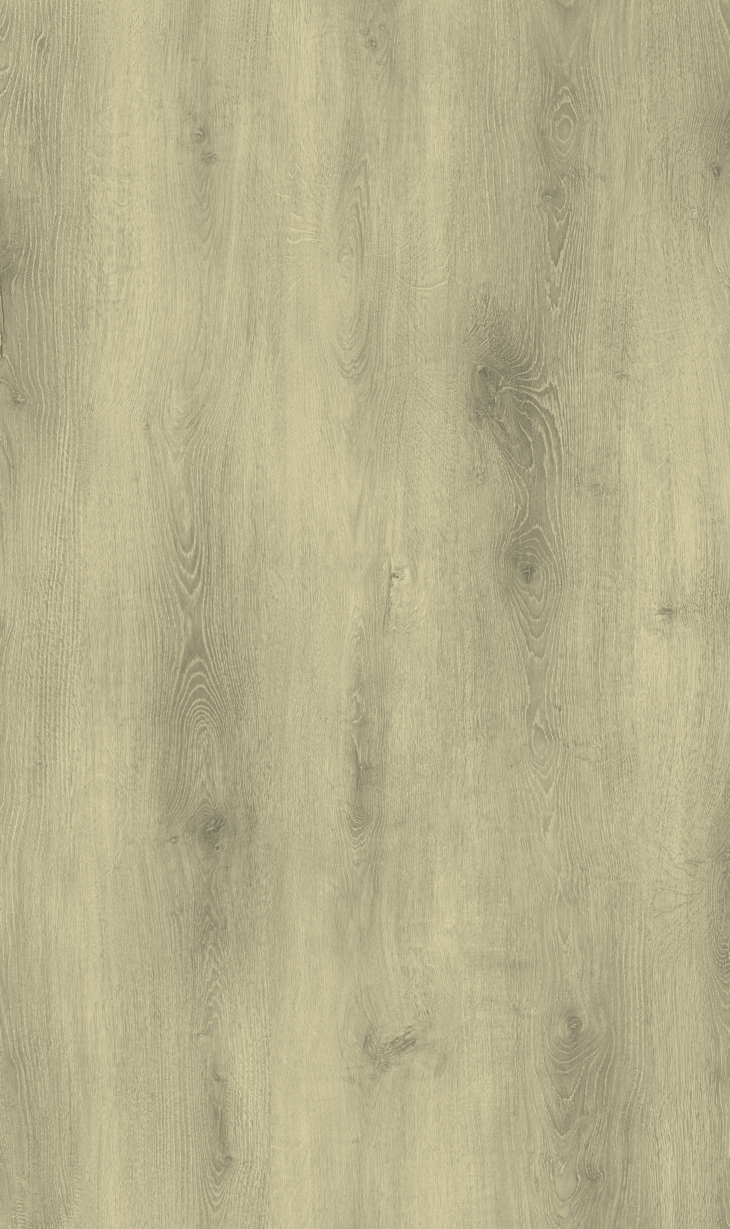 פרקט SPC Olympus