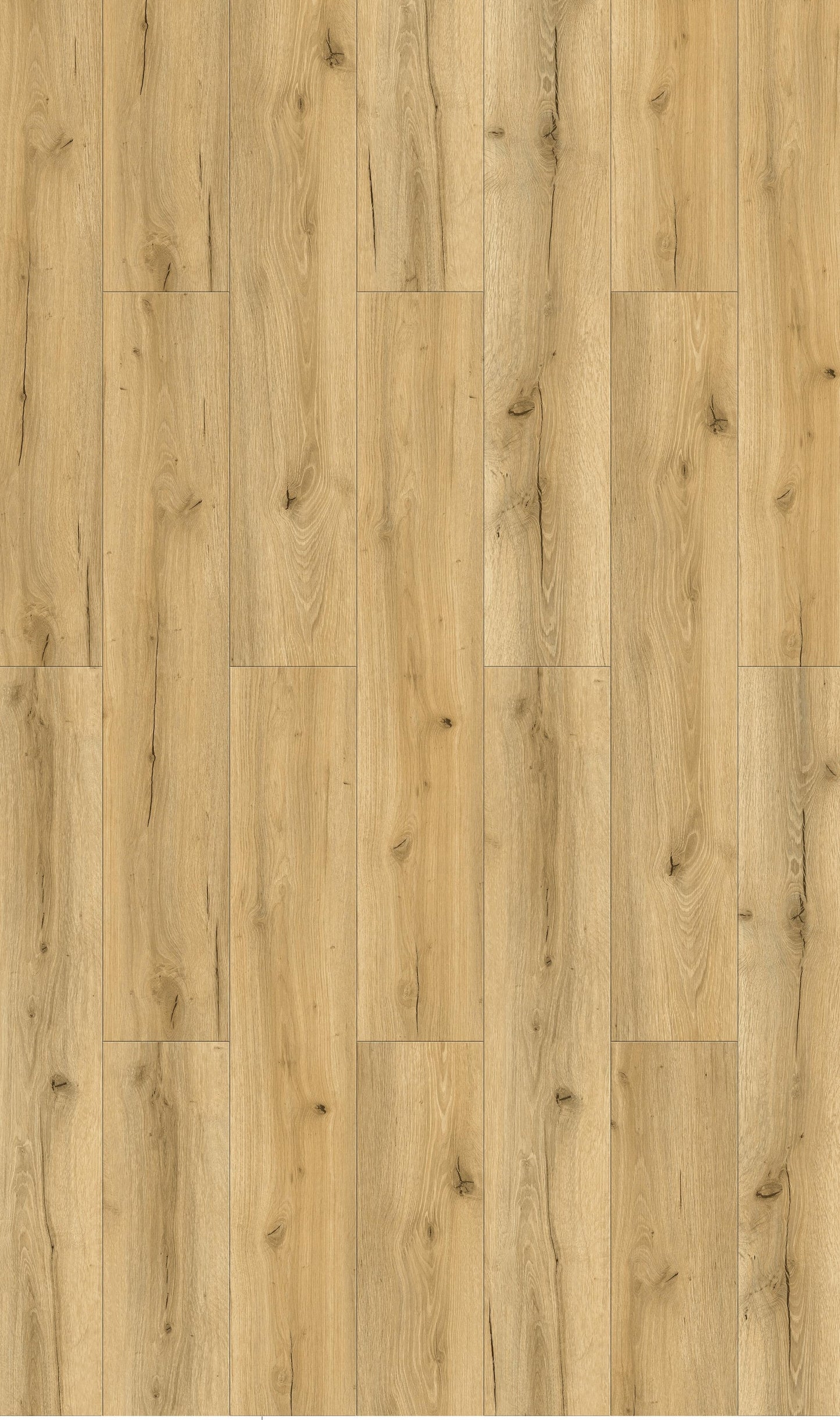 פרקט SPC la spetzia